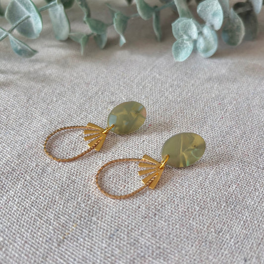 Golden Rays of the Grove